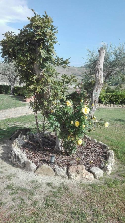 Agriturismo Casa Al Povero Volterra Exterior foto